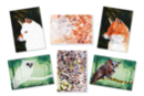 Kit 2 tableaux gommettes au numéro : Hiboux et Renard - Kits creativos gomets 59720 - 10doigts.fr