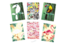 Kit de pegatinas A4 animales tropicales x 2 pcs - Kits creativos gomets 59716 - 10doigts.fr