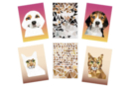 Kit 2 tableaux gommettes au numéro : Chien et chat - Kits creativos gomets 59714 - 10doigts.fr