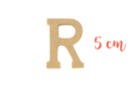 Letra de madera mediana: R - Deco en madera cruda 15020 - 10doigts.fr