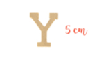 Letra de madera mediana: Y - Deco en madera cruda 15027 - 10doigts.fr