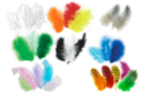 Mega pack de plumas - 8 sachets de 50 plumas (es decir, 400 plumas) - Plumas decorativas - 10doigts.fr