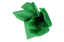 Papel de seda 50 x 66 cm (24 hojas) - Verde oscuro - Papeles de seda 44688 - 10doigts.fr