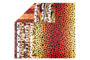 Animal Pattern Paper - 10 Sheets - Patterned Papers - 10doigts.fr