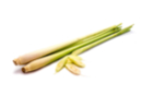 Vela perfumada 27 ml - Citronela - Perfumes y Colorantes para Velas 16336 - 10doigts.fr