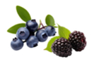 Fragancia para vela 27 ml - Mora/Mirtilo - Perfumes y Colorantes para Velas 16334 - 10doigts.fr