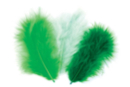 Plumas camaïeu verde - Set de aproximadamente 50 plumas - Plumas decorativas 10446 - 10doigts.fr