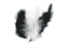 Plumas negras y blancas - set de aproximadamente 50 plumas - Plumas decorativas 10447 - 10doigts.fr