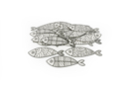 Coloring Fish - 30 Fish - Easter Decor Supports 54336 - 10doigts.fr