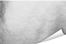 Silver metallic paper, white back - Roll 70 cm x 2 m - Metallic, Glitter Paper 06114 - 10doigts.fr