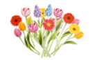 Printed Strong Card Flowers - 20 Pieces - Cardboard Shapes - 10doigts.fr