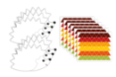 Hedgehog Kit + Stickers - 6 Pieces - Creative Autumn Kits - 10doigts.fr