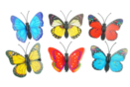 Mariposas 3D sobre pinzas - 6 unidads - Elementos decorativos adhesivos - 10doigts.fr