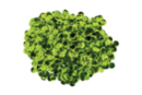 Sew-on Sequins, 800 pieces - Light Green - Sequin Pins 57337 - 10doigts.fr