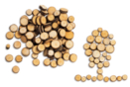 Rodajas de madera (Ø 7 mm a 2,5 cm - Grosor: 4 mm) - alrededor de 100 unidads - Decors naturaleza - 10doigts.fr
