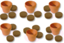 Horticulturist Set - 6 Clay Pots + Potting Soil - Gardening for Kids 11581 - 10doigts.fr