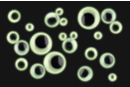 Glow-in-the-dark Adhesive Wiggle Eyes - 100 pcs - Googly Eyes 59386 - 10doigts.fr