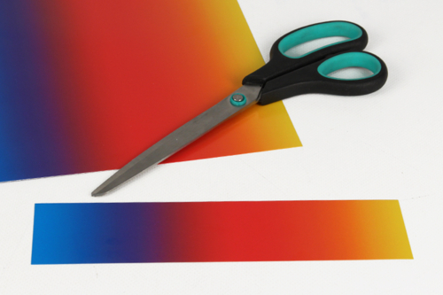 Silly Fish