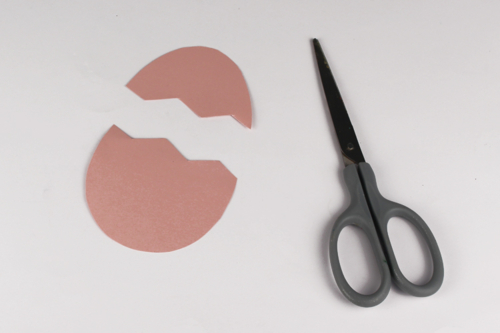 Step 5: - 