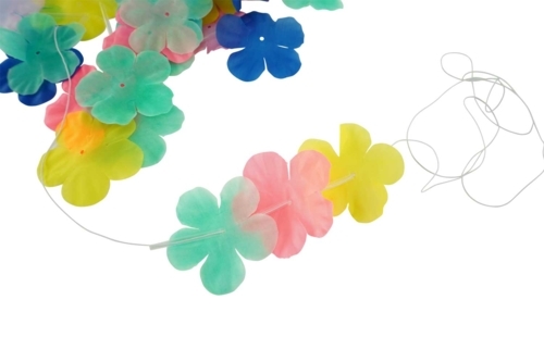 Paso 2 - 