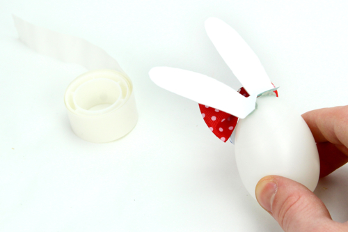 Step 5: - 