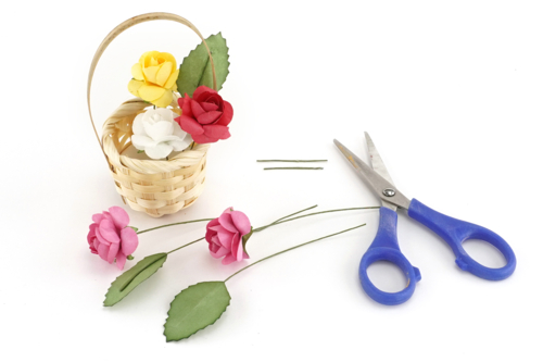 Paso 5 - 
