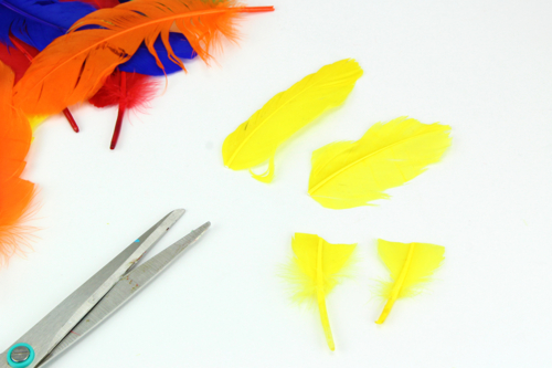 Step 6: - 