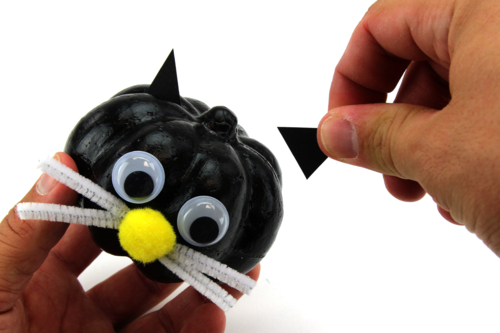 Step 6 - 