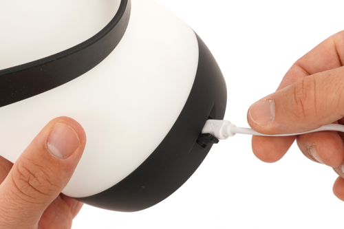Paso 6 - 