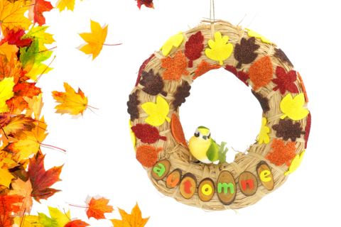 Autumn Color Wreath