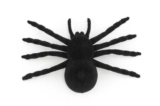 araña deco halloween - Accessoires créatifs Halloween - 10doigts.fr