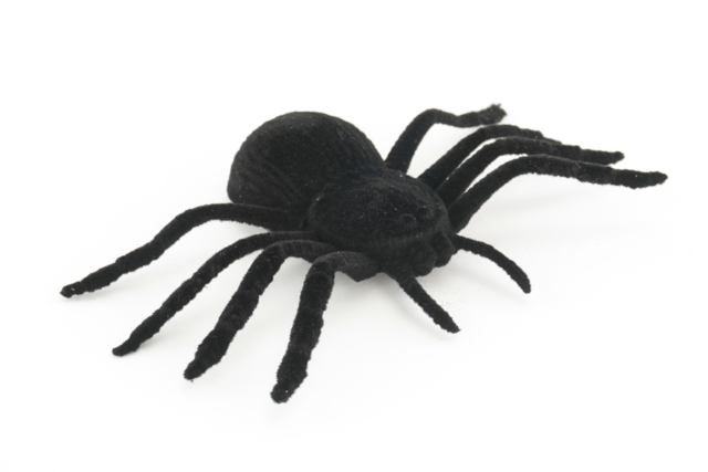 araña decoración halloween - Accessoires créatifs Halloween - 10doigts.fr