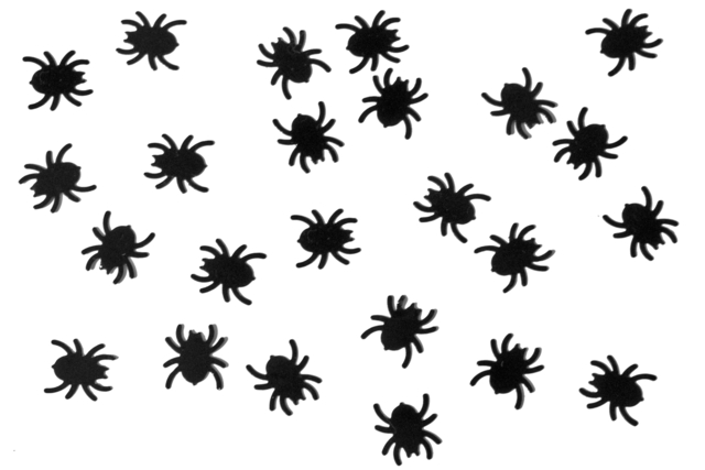 Mini Stickable Spiders - 500 Pieces - 2 - Halloween Creative Accessories - 10doigts.com - Accessoires créatifs Halloween - 10doigts.fr