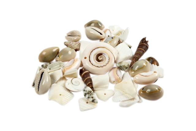 Shell Beads - Assortment of 120 g - 1 - Heishi Beads and Shells - 10doigts.com - Perles Heishi et coquillages - 10doigts.fr