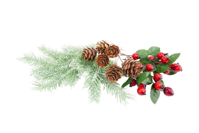 decoración navidad naturaleza acebo abeto - Déco Noël Nature - 10doigts.fr
