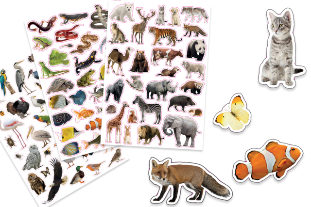 Wild Animal Stickers - 96 pcs - 1 - Animal Stickers - 10doigts.com - Des gommettes animaux pour créer et apprendre dès la maternelle - 10doigts.fr