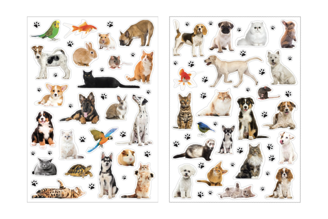 Gomets animales domésticos realistas - Des gommettes animaux pour créer et apprendre dès la maternelle - 10doigts.fr