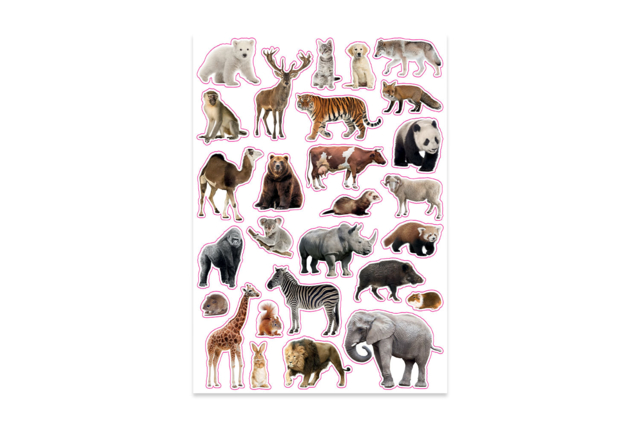 Gomets animales salvajes realistas - Des gommettes animaux pour créer et apprendre dès la maternelle - 10doigts.fr