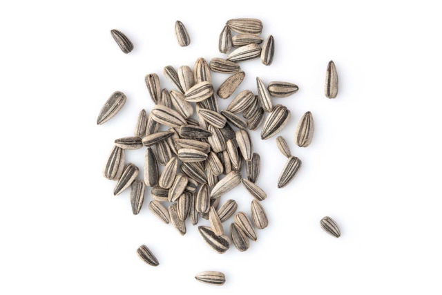 Pack of Dwarf Sunflower Seeds - 2 - Gardening for Kids - 10doigts.com - Jardinage enfants - 10doigts.fr