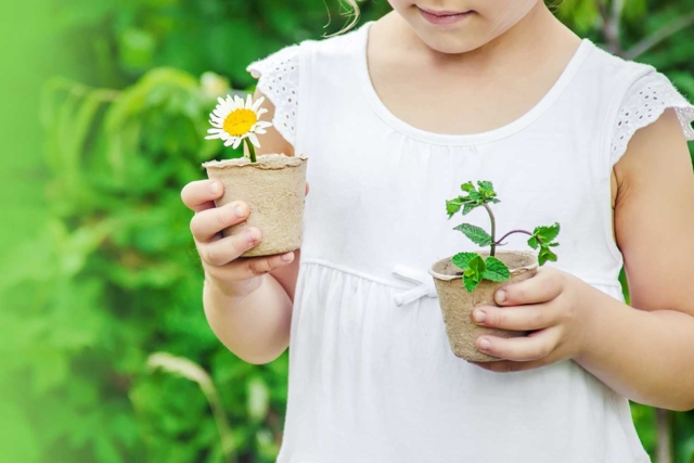 Herb Seeds - 4 - Gardening for Kids - 10doigts.com - Jardinage enfants - 10doigts.fr