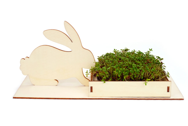 Rabbit Planter Kits + Cresson - 6 pcs - 4 - Easter Craft Kits - 10doigts.com - Kits créatifs Pâques - 10doigts.fr