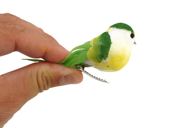 pájaro éaliste sobre pinza - Décorations à coller - 10doigts.fr