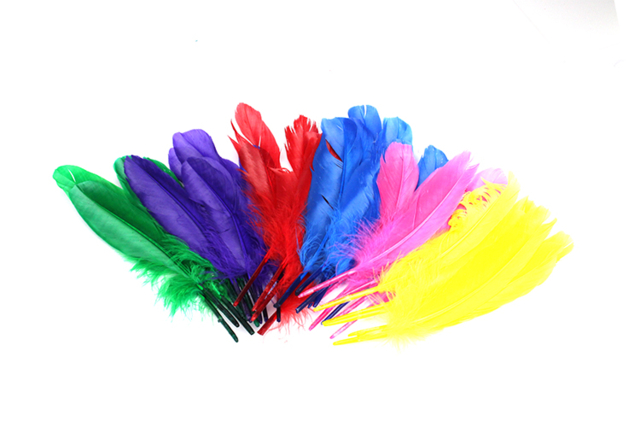 Plumas 20 cm - Plumes décoratives - 10doigts.fr