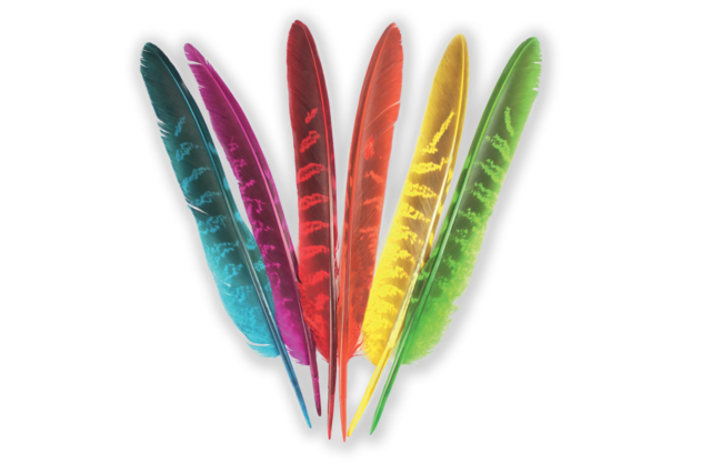 Plumas 6 colores 18 a 19,5 cm x 24 pcs - Plumes décoratives - 10doigts.fr