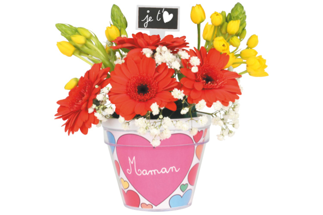 Coloring Flower Pot - 6 - Animal and Nature Kits - 10doigts.com - Kits animaux et nature : créez votre propre univers sauvage - 10doigts.fr