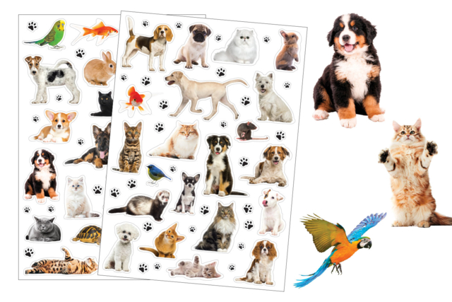 pegatinas animales domésticos - Gommettes réalistes pour enfants : l’éveil par l’image - 10doigts.fr