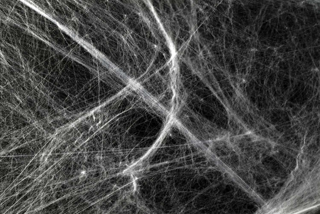Stretchable White Spider Web - 1 - Halloween Creative Accessories - 10doigts.com - Accessoires créatifs Halloween - 10doigts.fr