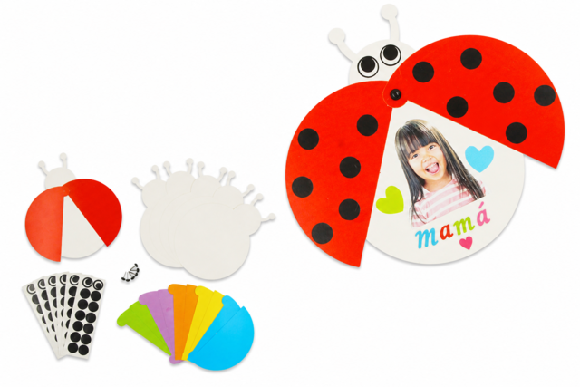 Juego de 6 tarjetas de mariquitas móviles - colores surtidos - Kits clés en main - 10doigts.fr