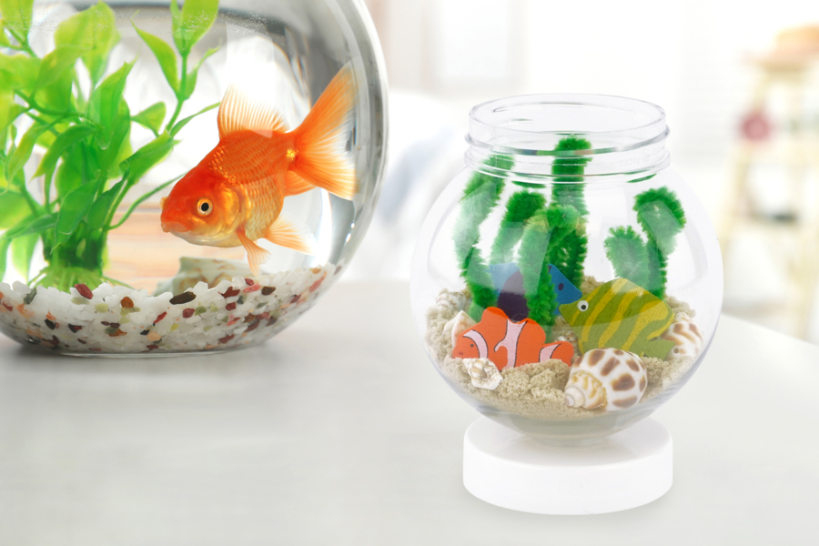 Miniature Aquarium
